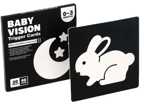 Early Education Visual Card