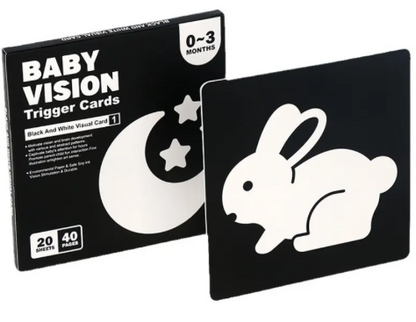 Early Education Visual Card